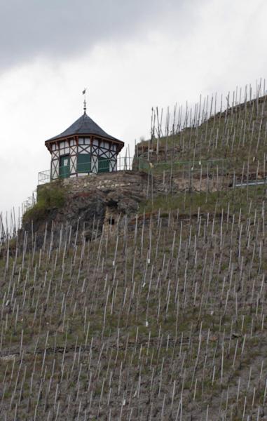 Weingut&Gästehaus Schmitz-Bergweiler Bernkastel-Kues Exterior foto