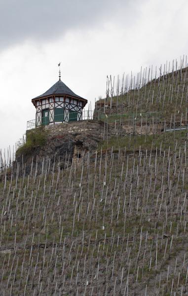 Weingut&Gästehaus Schmitz-Bergweiler Bernkastel-Kues Exterior foto